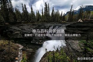 江南的城：山西和辽宁有差距 只有进攻没有防守的球队是走不远的